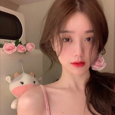 工程师普赖特的方案